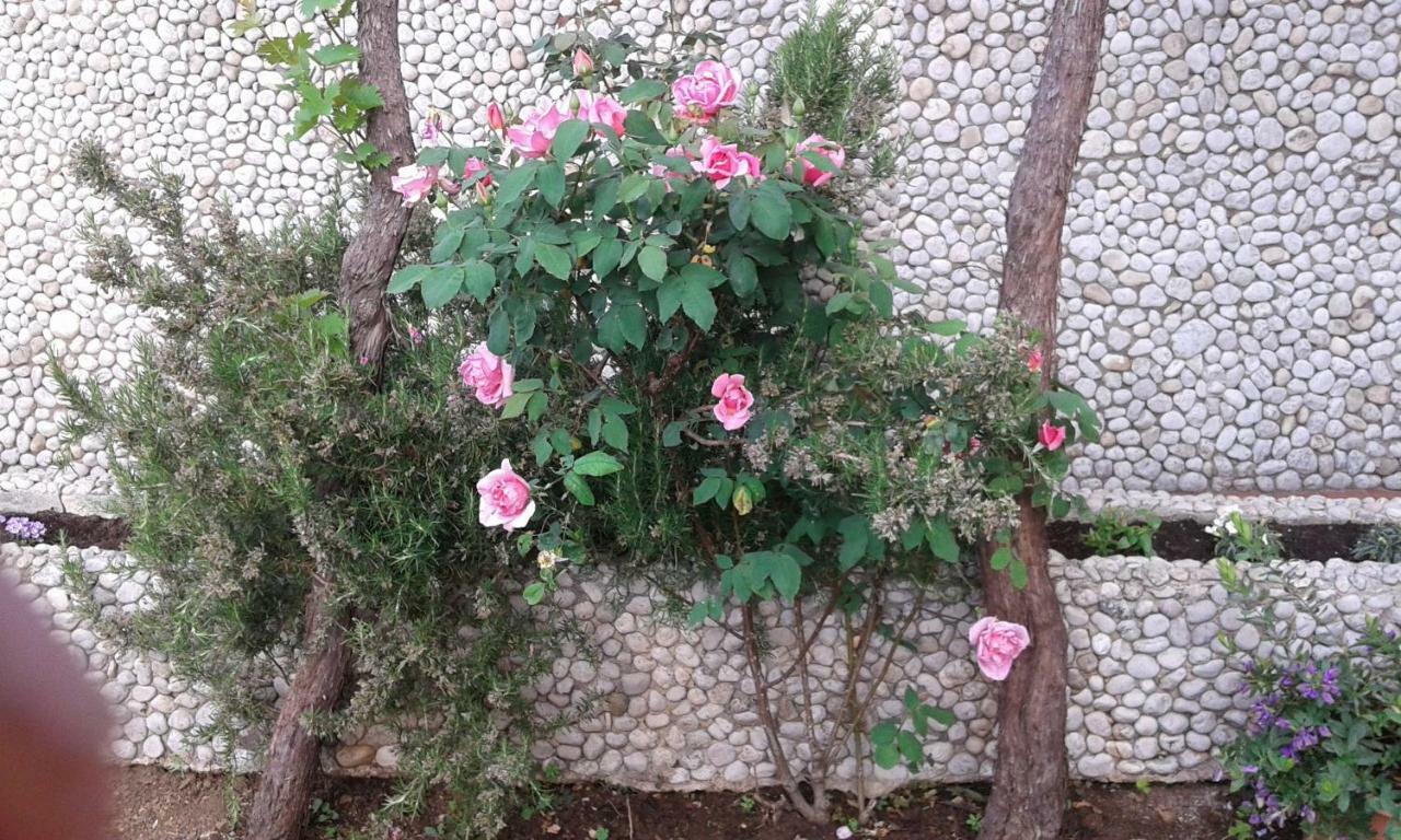 דוברובניק Apartment Dubcic: For Perfect Vacation מראה חיצוני תמונה